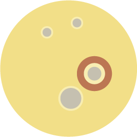 Io Moon Logo